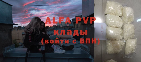 мдпв Бородино