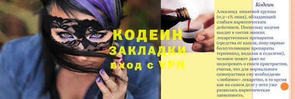 мдпв Бородино