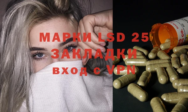 мдпв Бородино