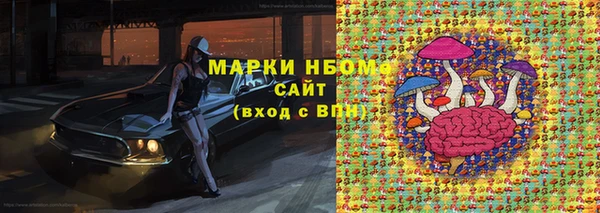 мдпв Бородино
