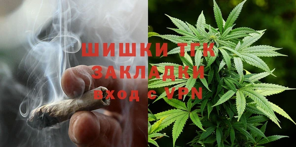 мдпв Бородино
