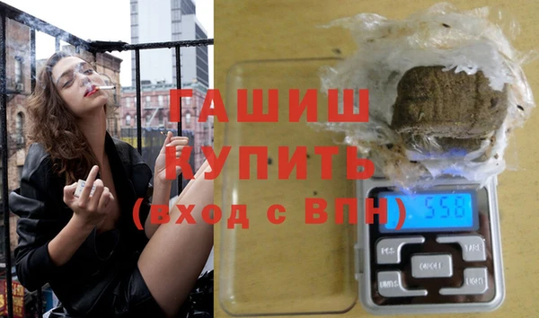 мдпв Бородино
