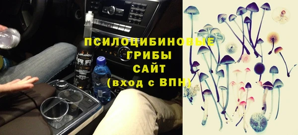 героин Богданович