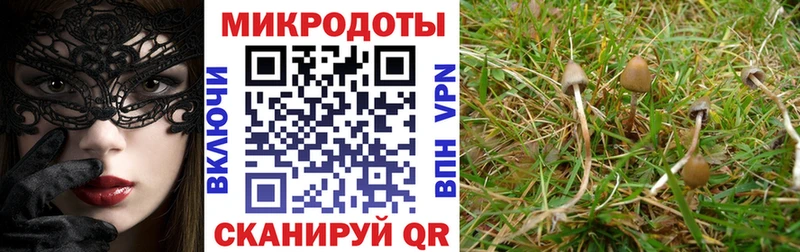 это Telegram  наркошоп  Минусинск  Галлюциногенные грибы Psilocybe 