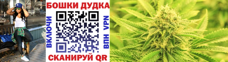 Конопля гибрид  Минусинск 
